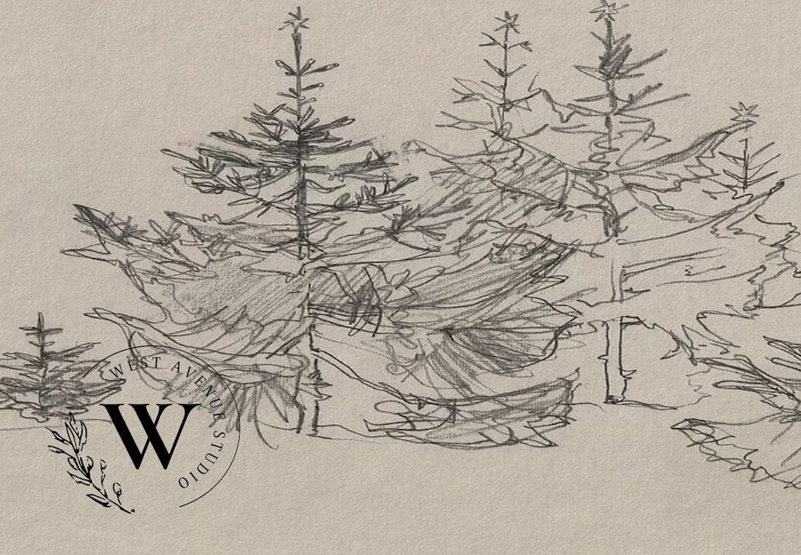 Minimalist Pine Tree Sketch Winter Forest Rustic Botanical Art Poster - Image 2