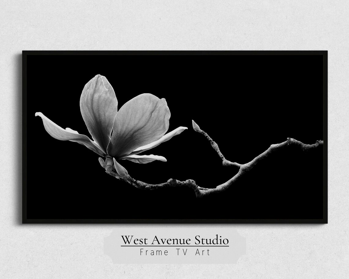 Black and White Magnolia Blossom Branch Moody Botanical Photo Poster - Image 5