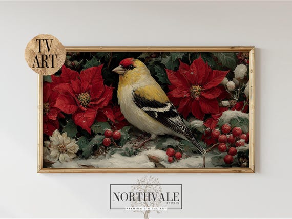 Goldfinch And Poinsettias Tv Art For Frame Holiday Wall Decor Vintage Winter Christmas Festive Bird Print 104