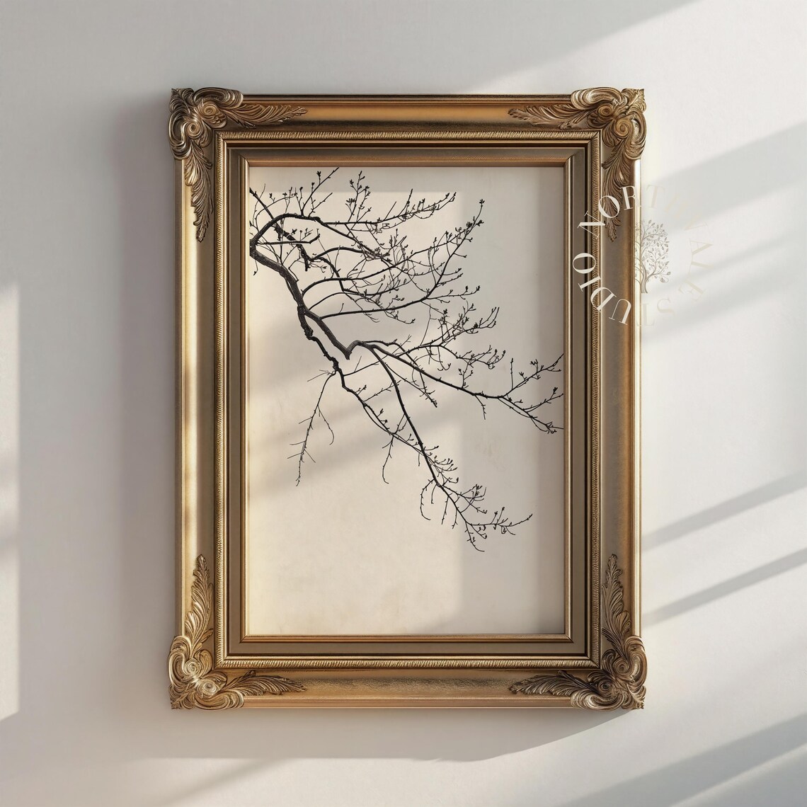 Drooping Tree Branch Print Minimalist Botanical Wall Art Vintage 26