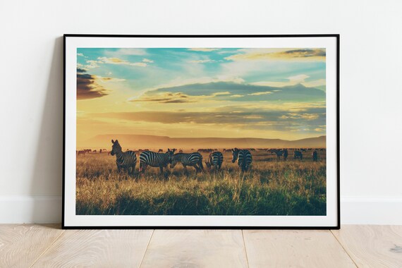 Zebra Herd Golden Sunset African Savanna Wildlife Horizontal Poster