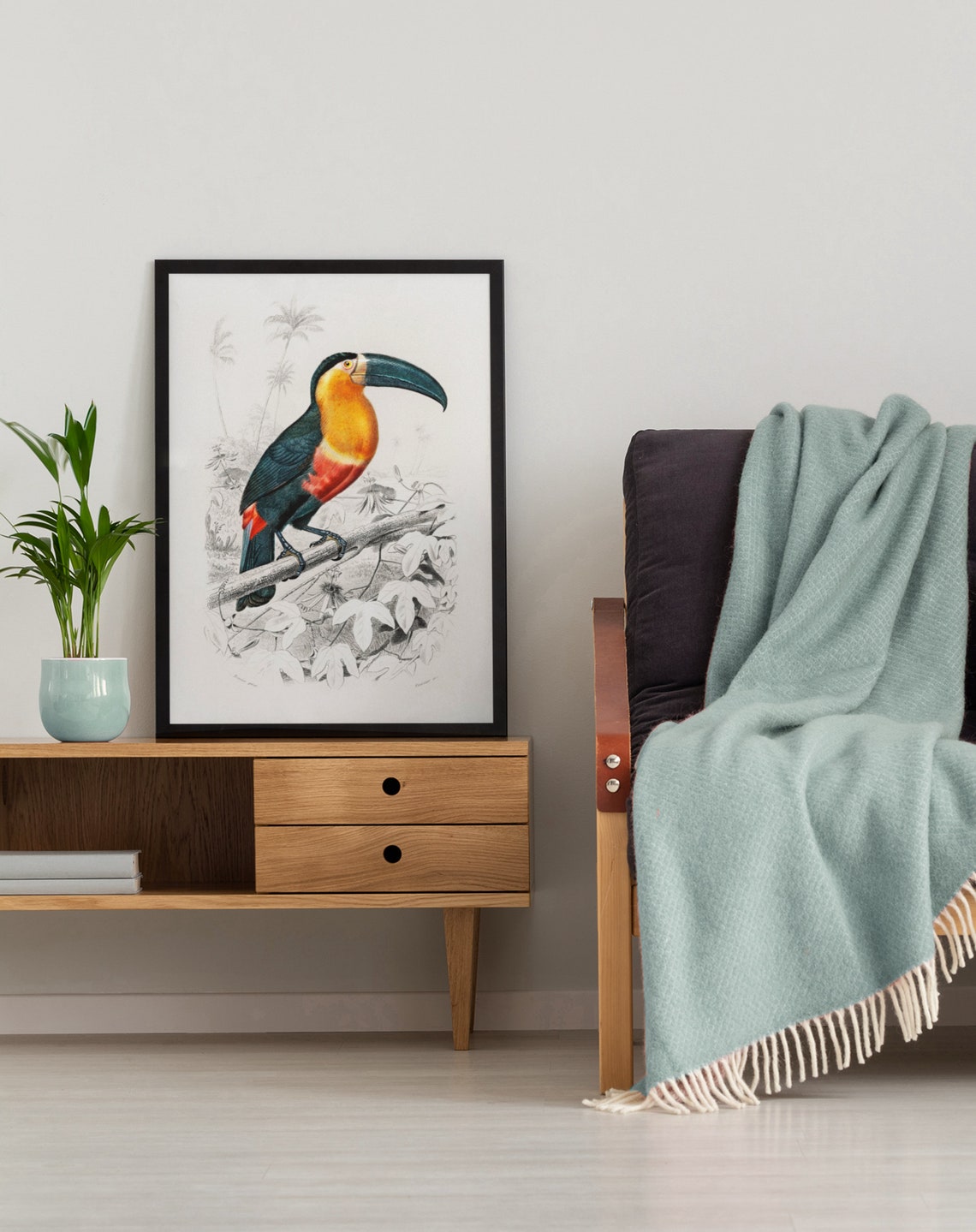 Classic Vintage Toucan Illustration Natural History Bird Art Poster - Image 2