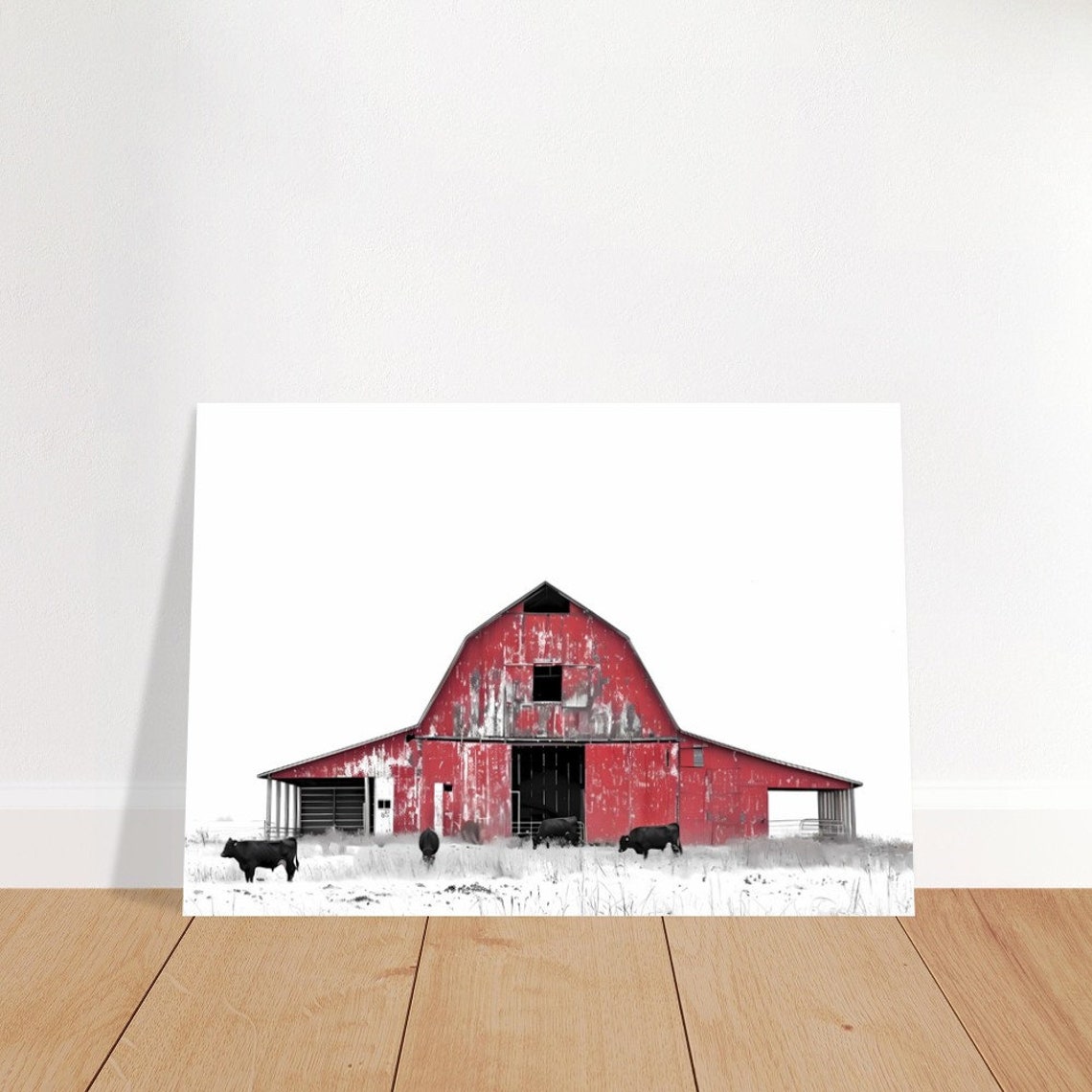 Red Weathered Barn with Black Cows Grazing in Snowy Field Poster - Image 3