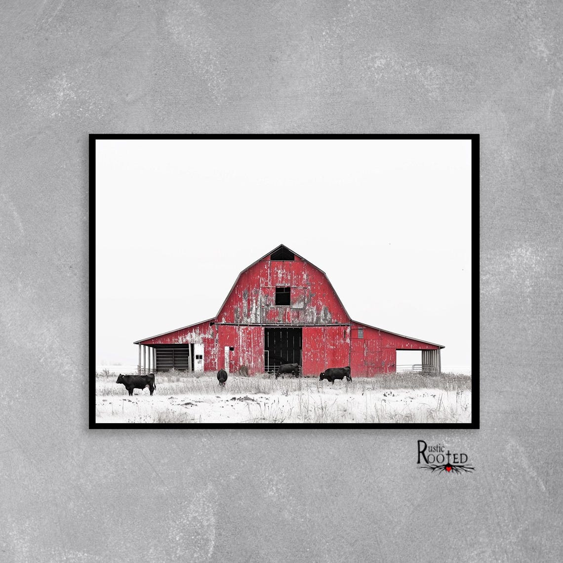 Red Weathered Barn with Black Cows Grazing in Snowy Field Poster - Image 2