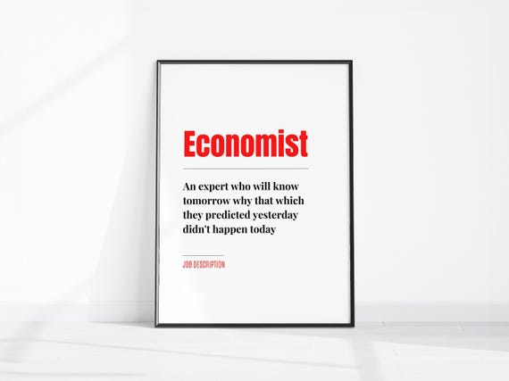 Funny Economist Job Description Wall Art Fun Office Print Coworker Gift Home Decor
