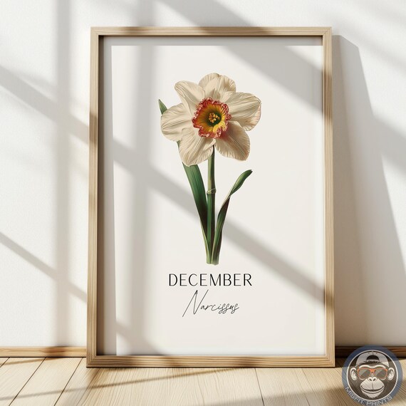 December White Narcissus Birth Flower Vintage Botanical Wall Art