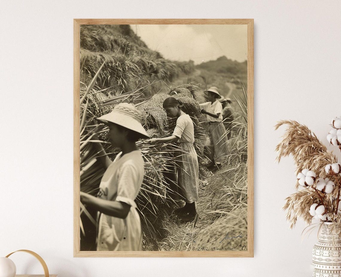 Antique Filipino Rice Workers Sepia Photograph Heritage Poster
