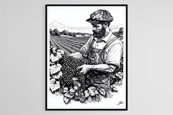 Vineyard Farmer Harvesting Grapes Detailed Black Line Art Print