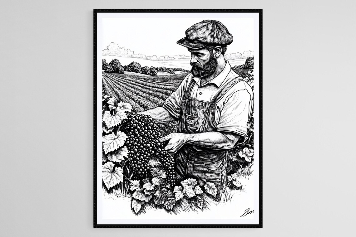 Vineyard Farmer Harvesting Grapes Detailed Black Line Art Print