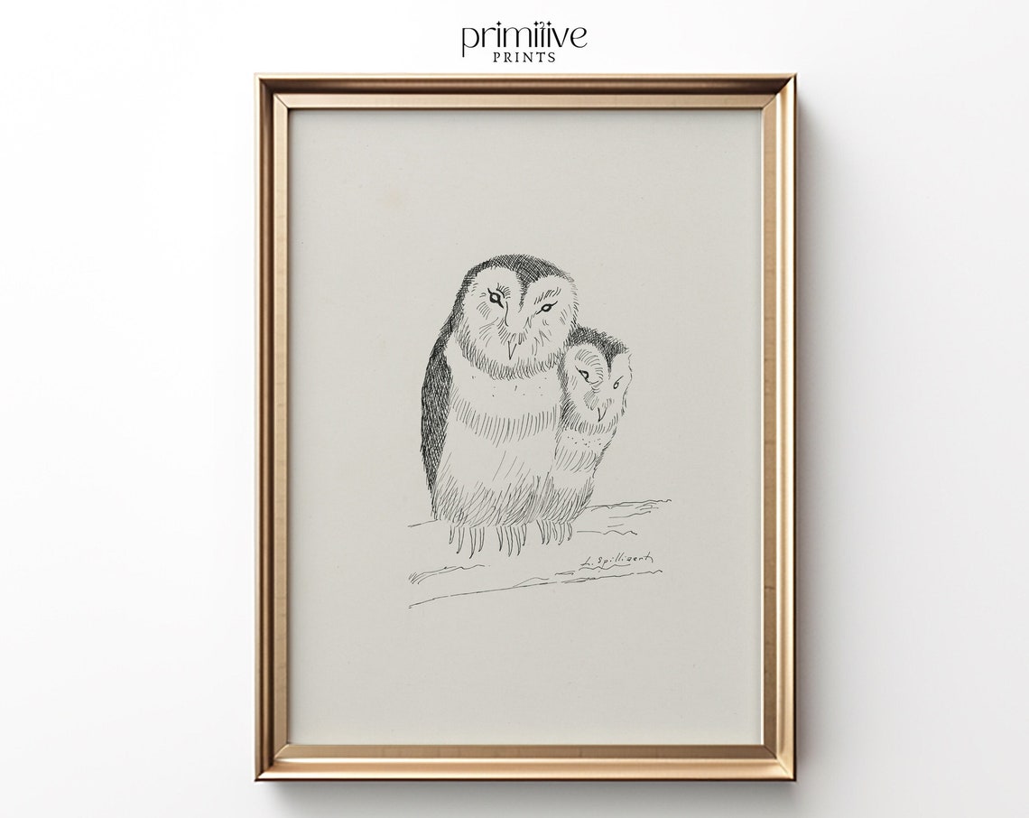 Two Perched Owls Pen and Ink Sketch Minimalist Bird Art Poster