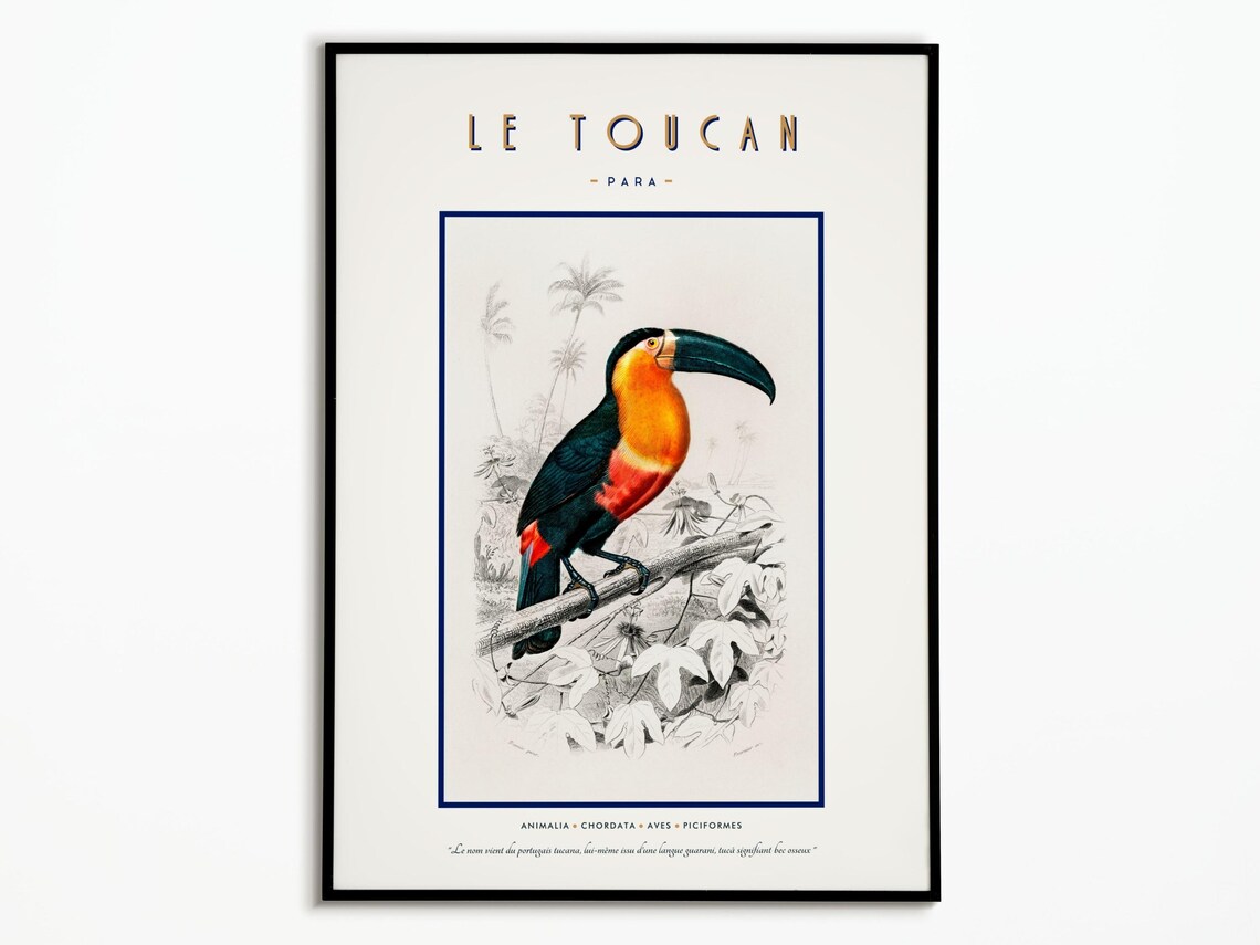 Vintage Toucan Poster, Exotic Bird Wall Art Print