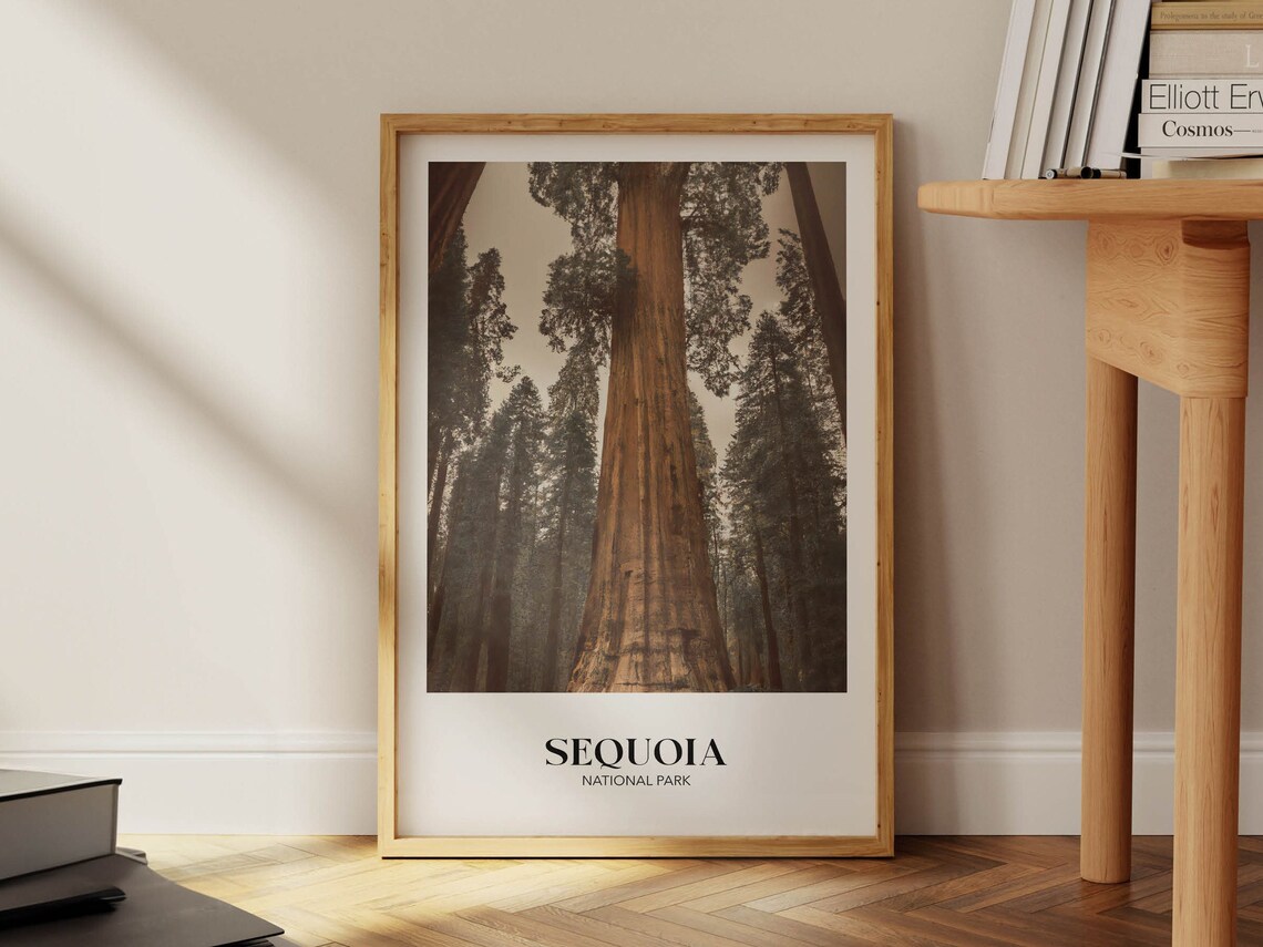 Sequoia National Park Vintage Travel Poster Art Print