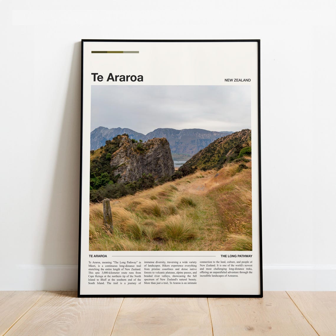 Te Araroa New Zealand Long Pathway Epic Minimalist Travel Poster