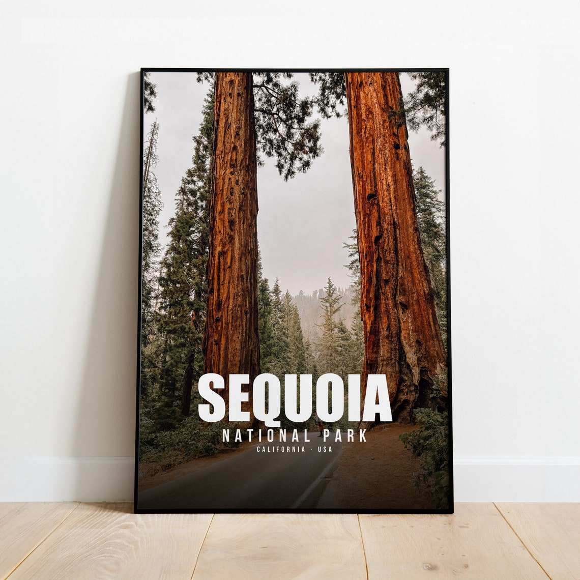 Sequoia National Park California Road Among Redwood Trees Poster