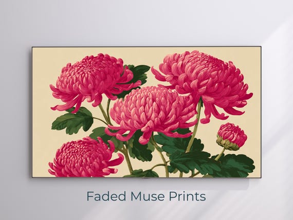 Classic Pink Chrysanthemum Frame Tv Art Botanical Samsung Digital Download 2102