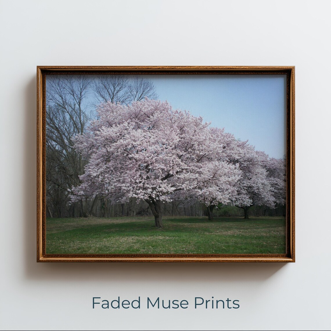Cottagecore Cherry Blossom Tree Print Romantic Spring Landscape Art Digital Download 1158