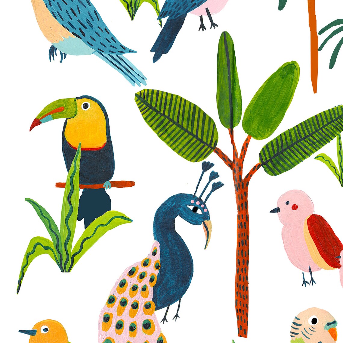 Tropical Bird Species Botanical Print, Nursery Wall Art - Image 3