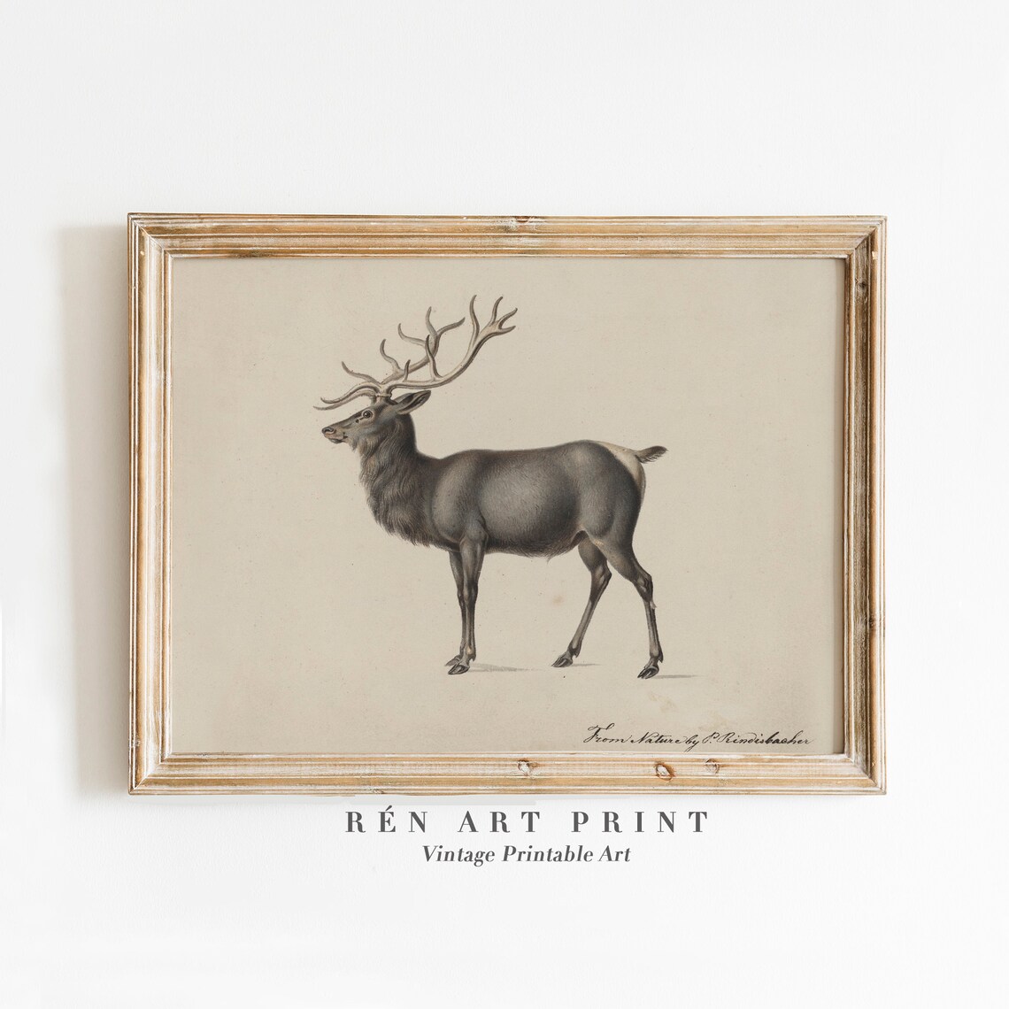 Vintage Reindeer Art Print, Rustic Christmas Decor - Image 3