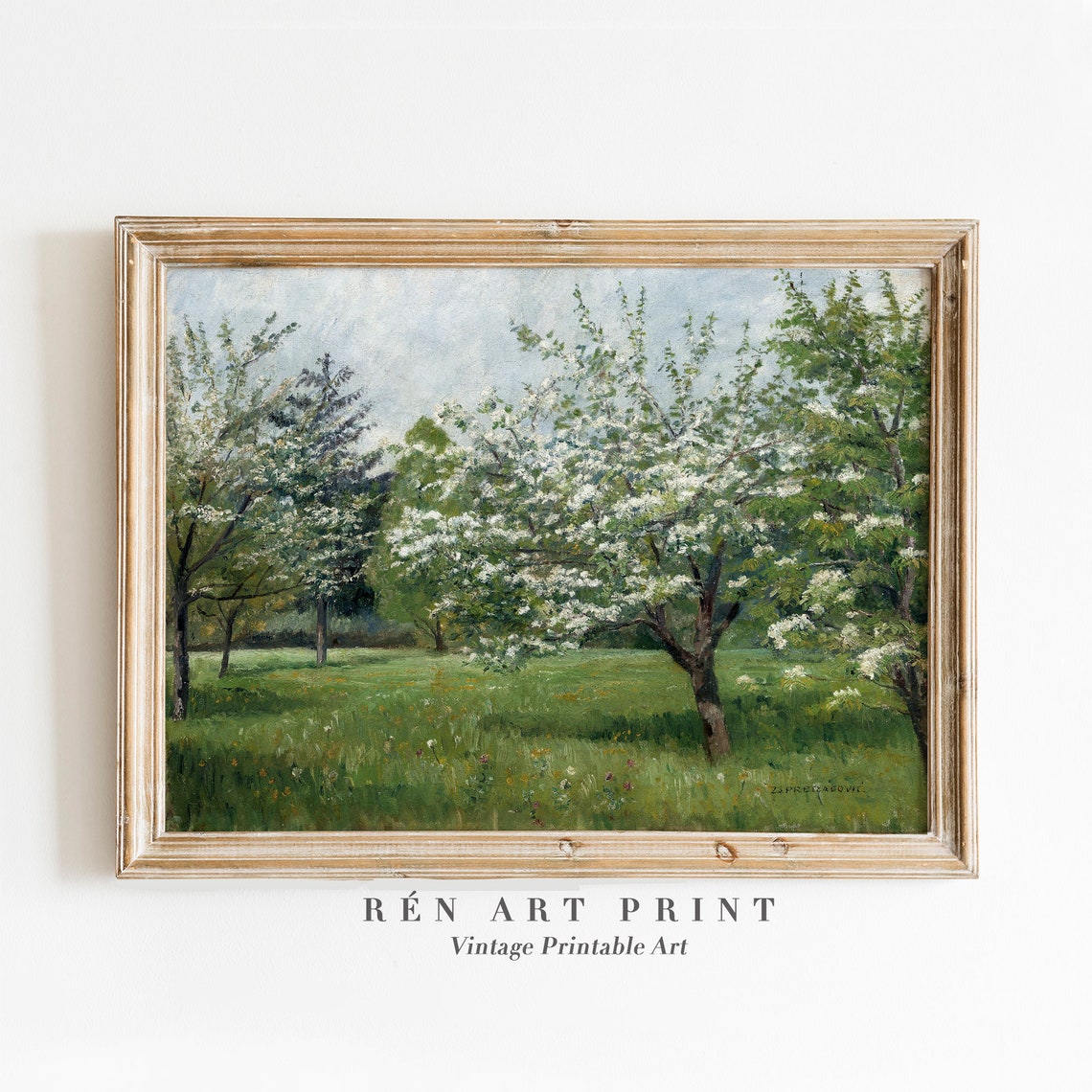 Spring Orchard Blooming Apple Trees Meadow Landscape Art Poster