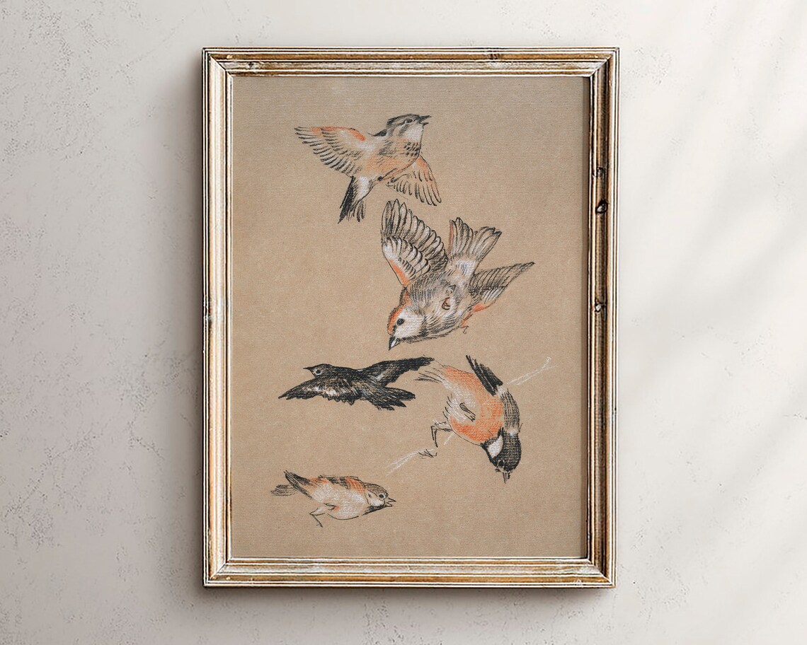 Five Birds in Flight Pencil Sketch Vintage Ornithology Art Poster
