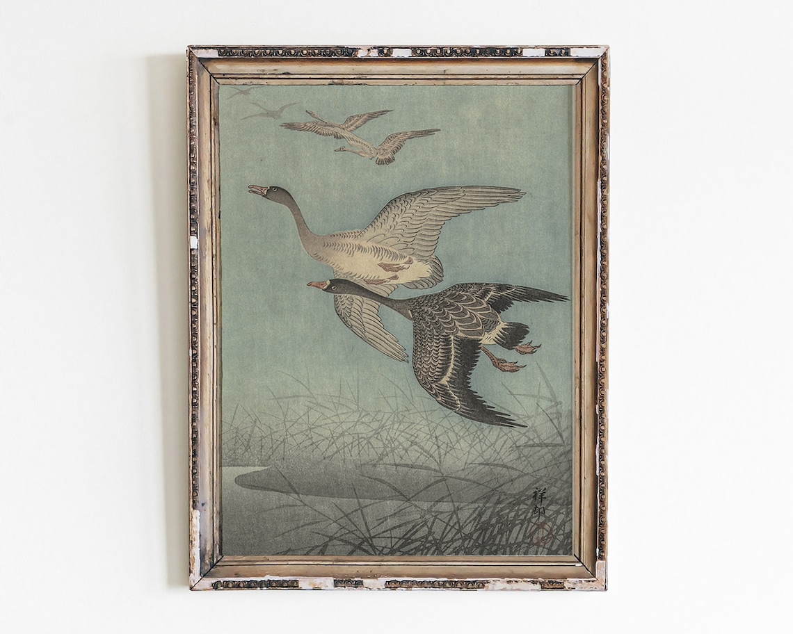 Vintage Bird Print, Antique Illustration Sketch