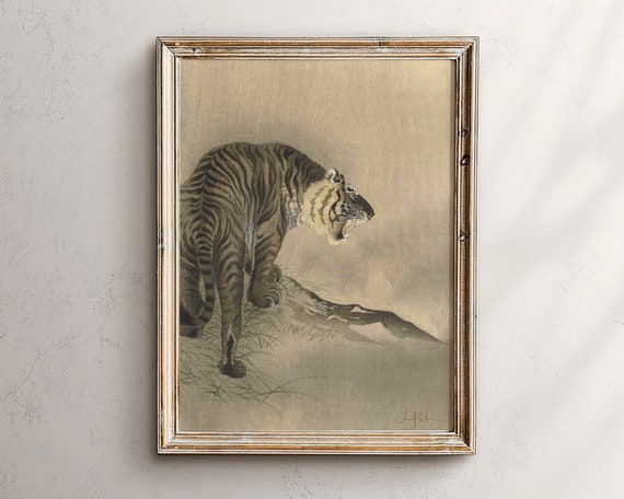 Tiger Drawing Art Print Vintage Wildlife Illustration