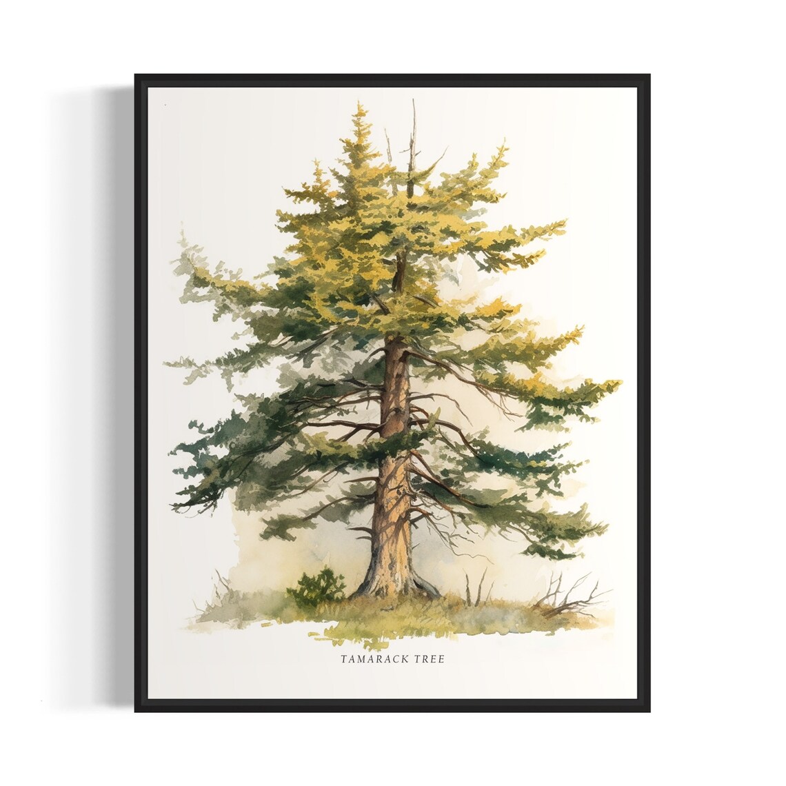 Tamarack Tree Art Print, Nature Forest Wall Poster
