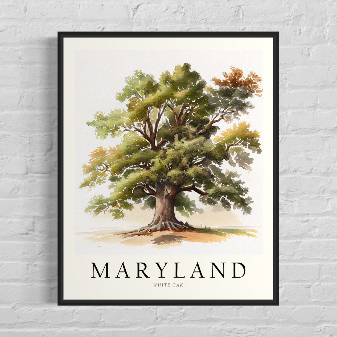 Maryland White Oak Tree Art Print, State Symbol