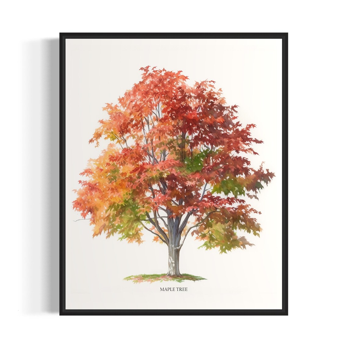Maple Tree Art Print, Nature Wall Art Poster