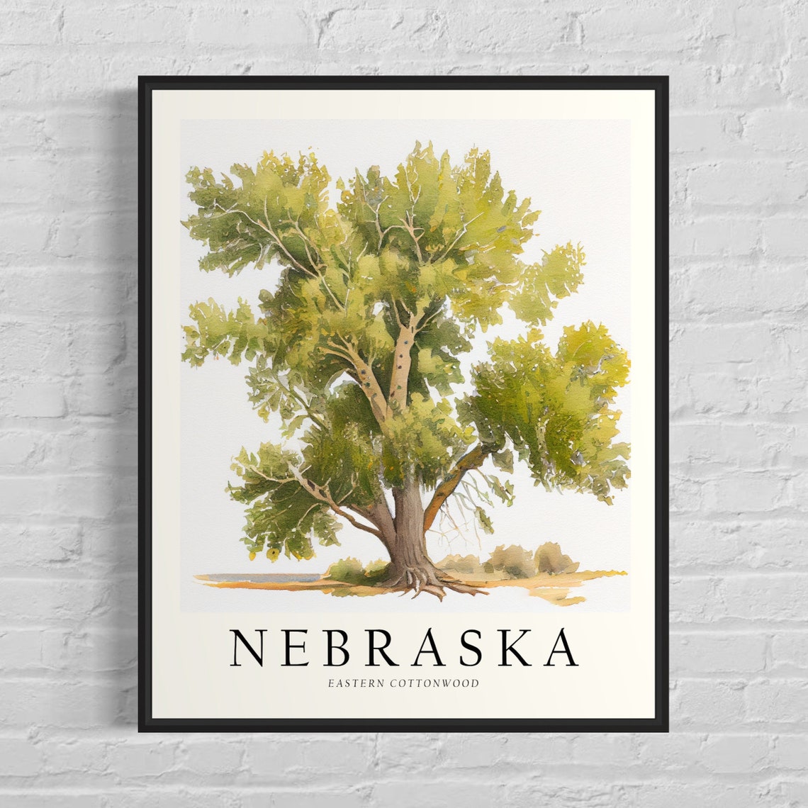 Nebraska Eastern Cottonwood Green Watercolor Botanical Tree Poster