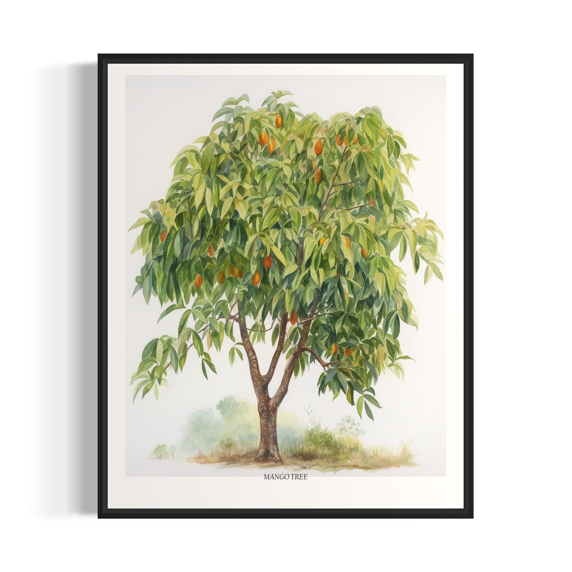 Mango Tree Art Print, Botanical Tree Wall Art