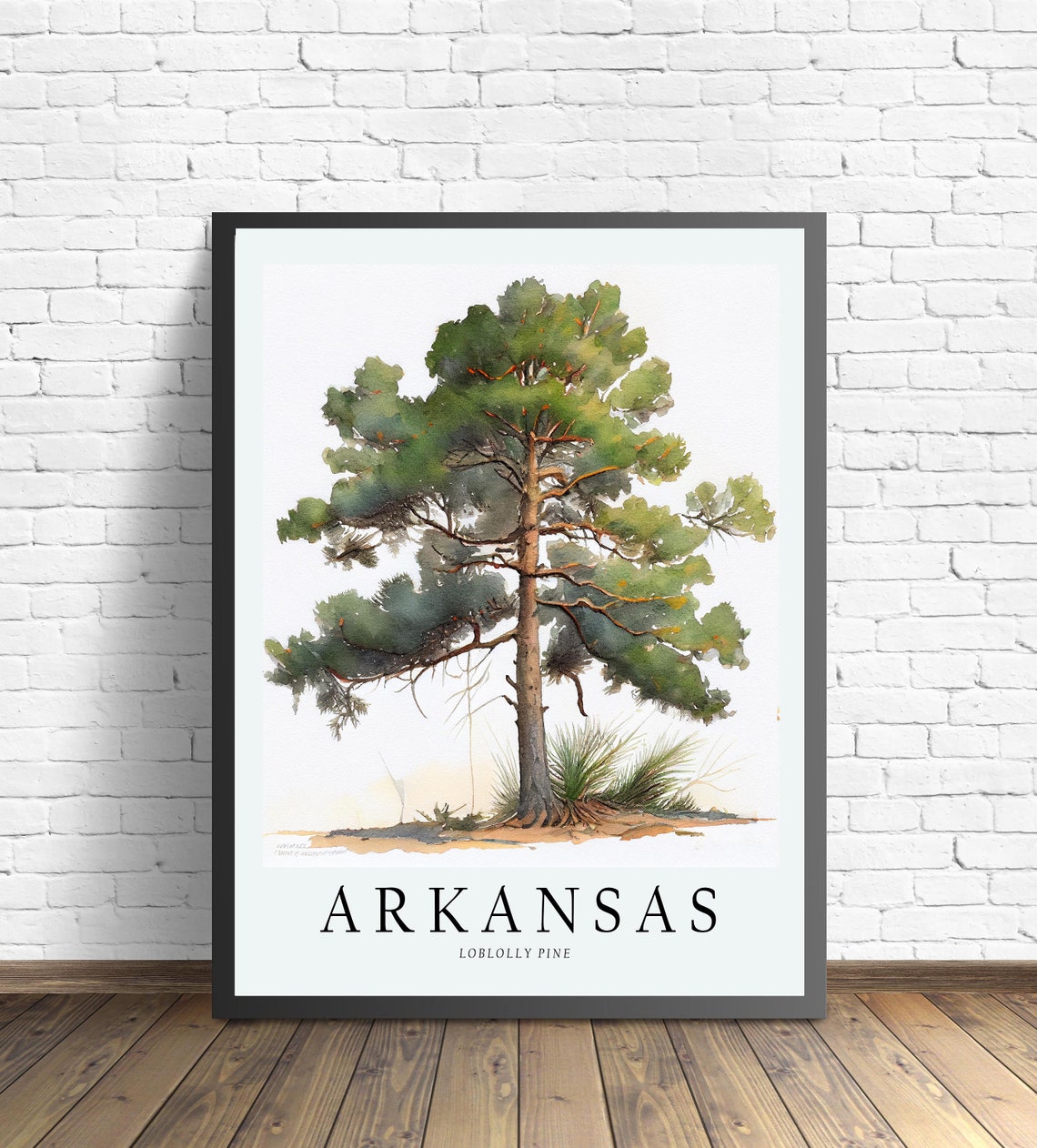 Arkansas Loblolly Pine Watercolor State Tree Botanical Art Print