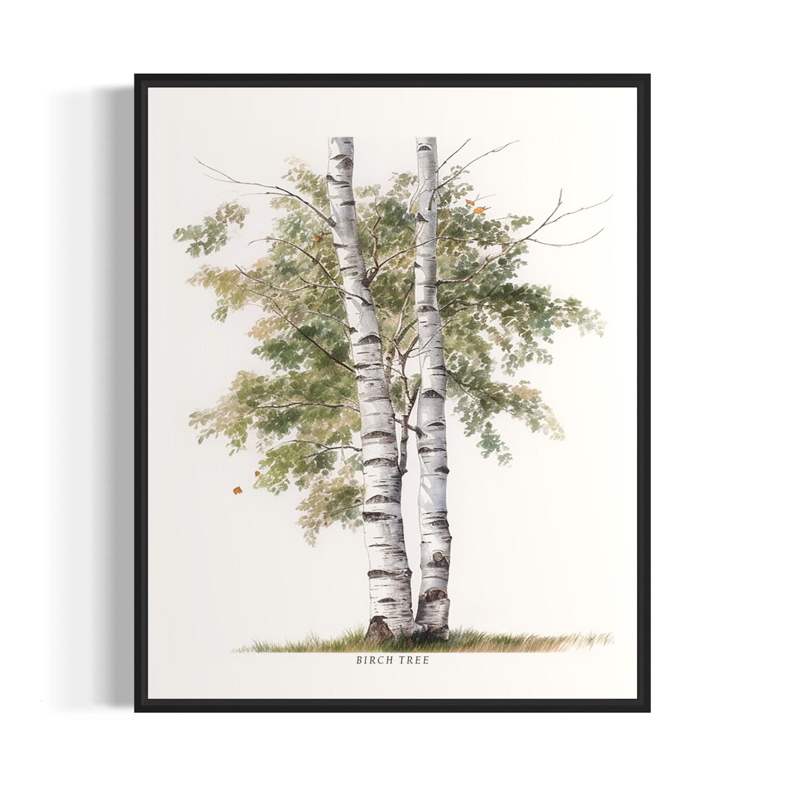 Birch Tree Art Print, Nature Wall Poster