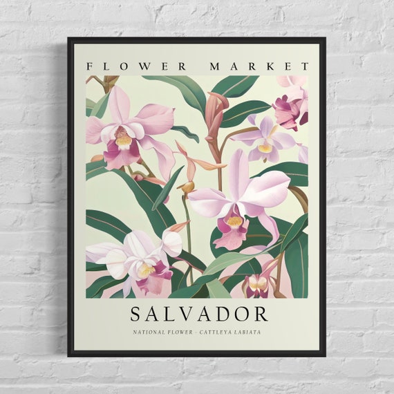 Salvador Brazil Flower Market Art Print Cattleya Labiata Flower Wall Art Poster