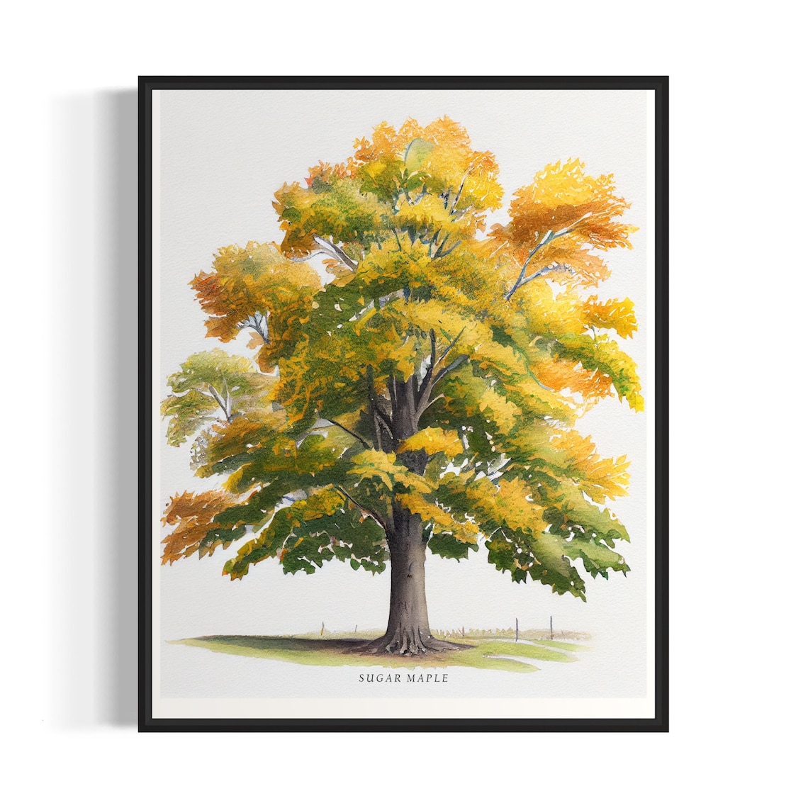 Sugar Maple Tree Art Print, Nature Wall Poster