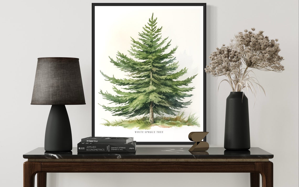 White Spruce Tree Watercolor Classic Evergreen Botanical Poster - Image 3