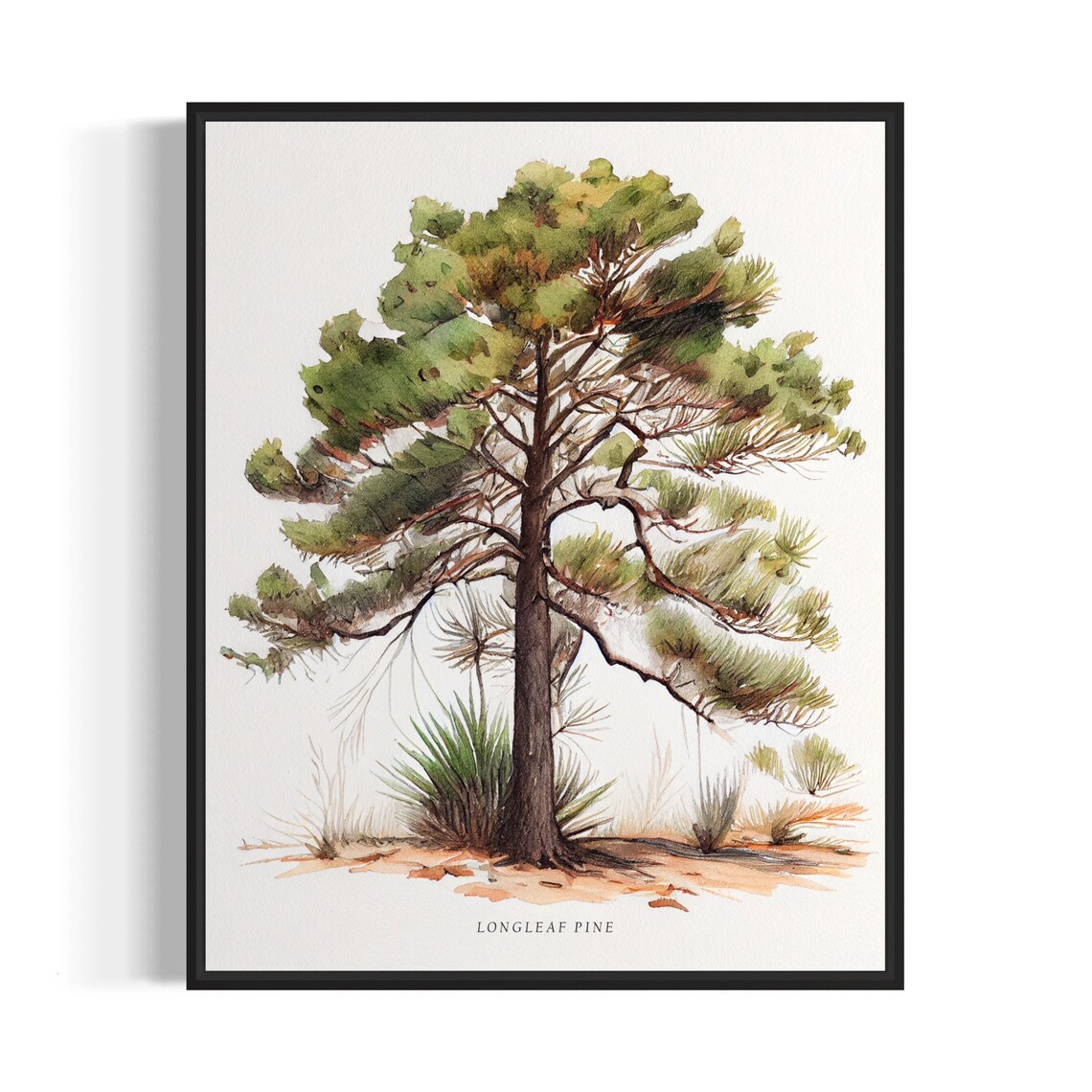 Longleaf Pine Tree Art Print, Nature Landscape