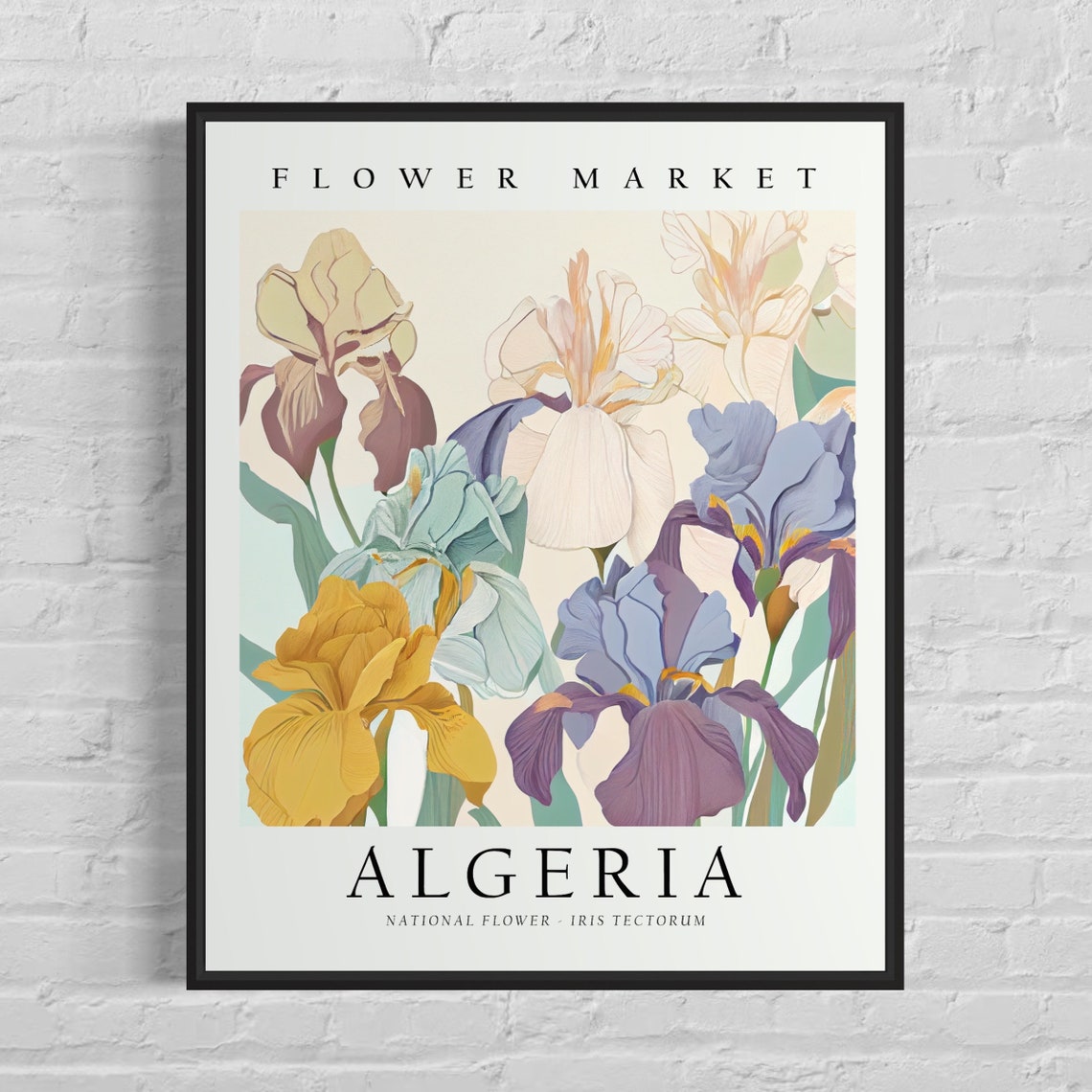 Algeria Iris Tectorum Flower Market Botanical Floral Garden Art Poster