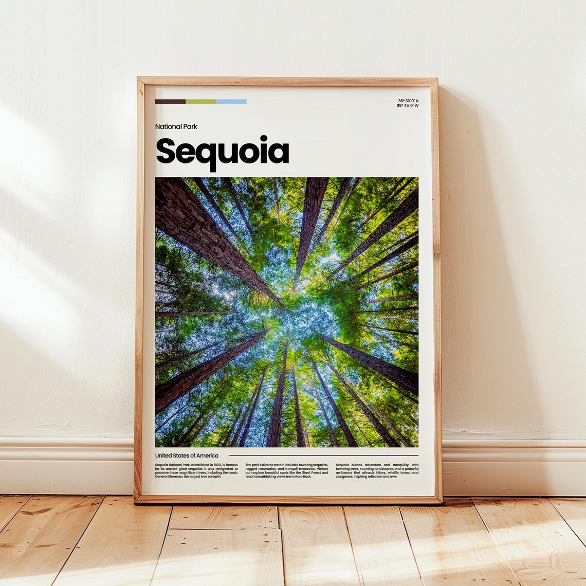Sequoia Poster Print Photo National Park Travel Gift