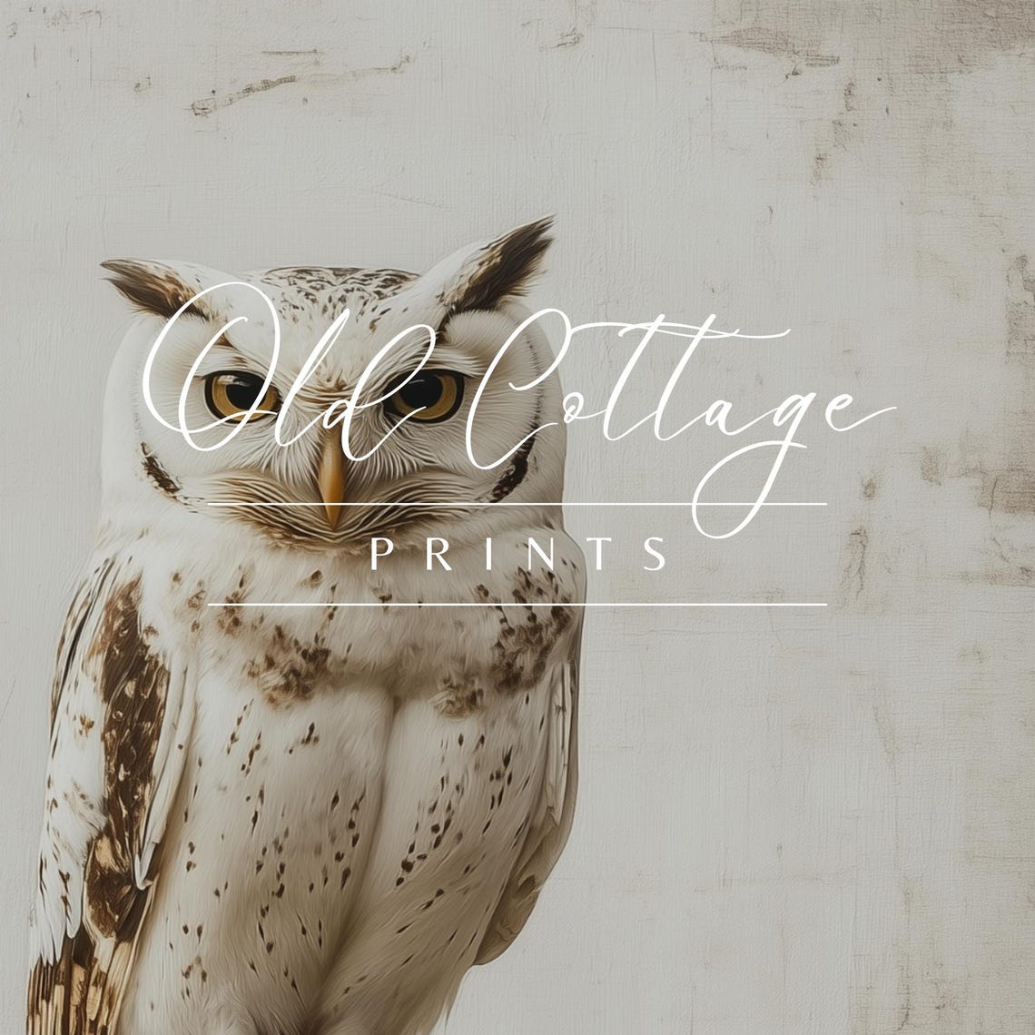 Speckled White Owl on Wooden Post Rustic Wildlife Decor Poster - Image 3