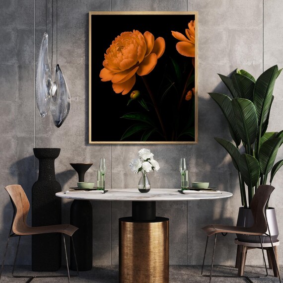 Orange Peony Bloom on Black Background Dramatic Botanical Poster