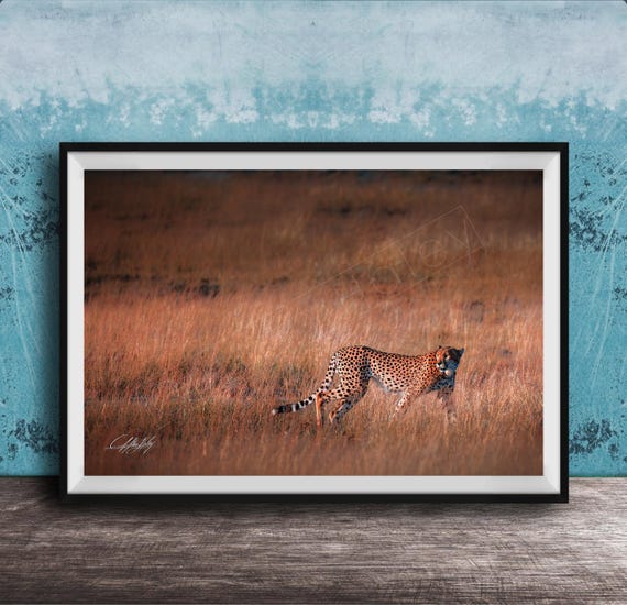 Maximalist Cheetah Art Print Bright Boho Safari Wall Decor