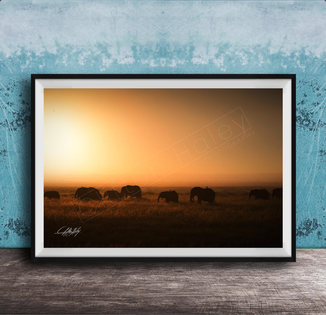 Elephant Herd Sunset Savannah Silhouette Wildlife Photo Poster