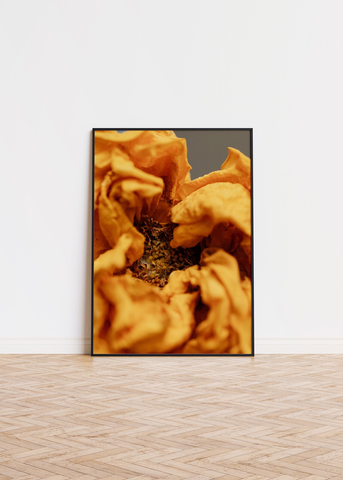 Dried Orange Flower Macro Petals Close-Up Photography Poster