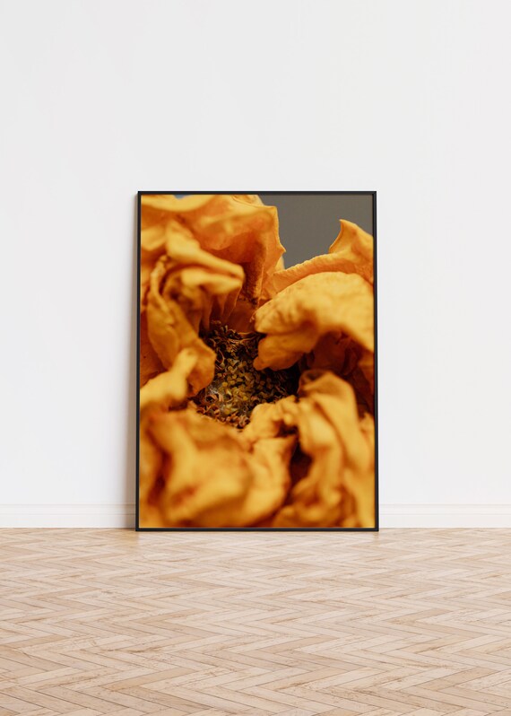 Dried Orange Flower Macro Petals Close-Up Photography Poster