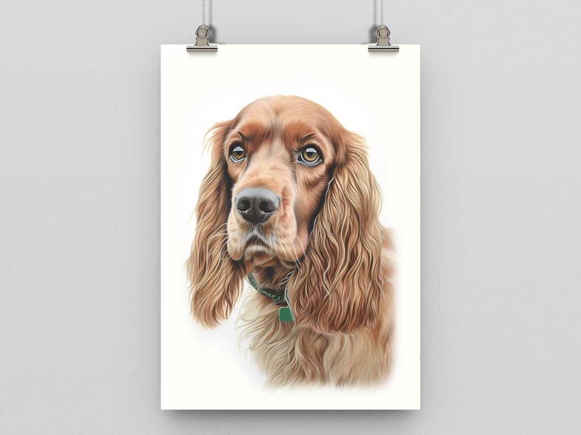 Golden Cocker Spaniel Pencil Sketch Portrait Poster On White