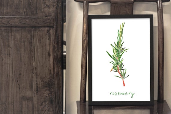 Rosemary Herb Kitchen Decor Watercolor Print Food Wall Art Herbal Home Gift For Her