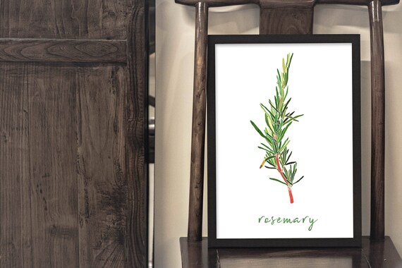 Rosemary Herb Watercolor Botanical Sprig Greenery Kitchen Wall Art