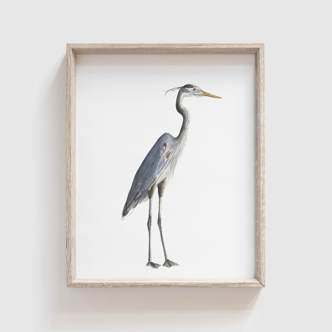 Blue Heron Watercolor Art Print, Bird Painting