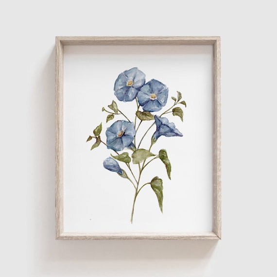 Morning Glory Flower Watercolor Art Print